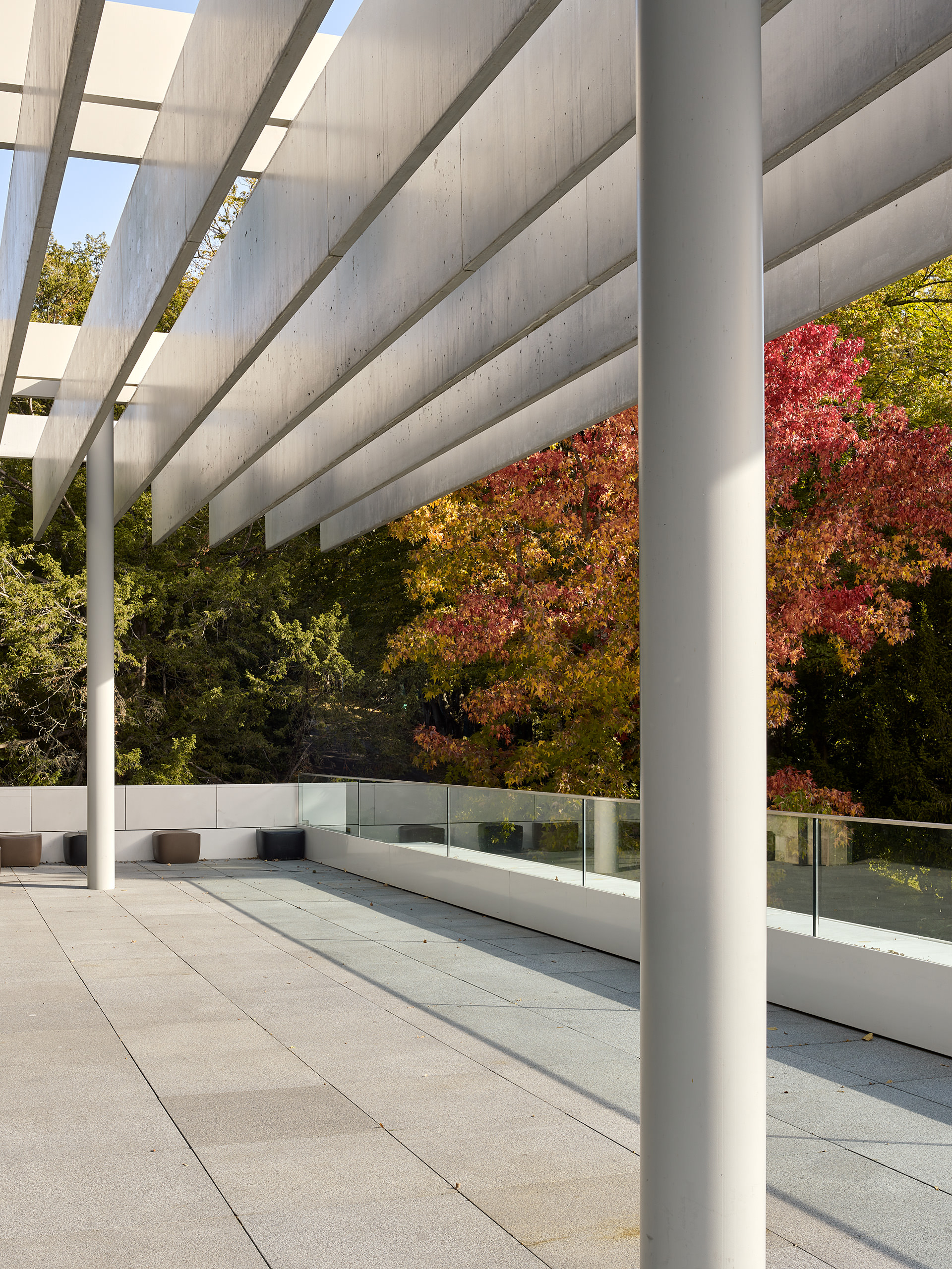 Muse olympique, Lausanne